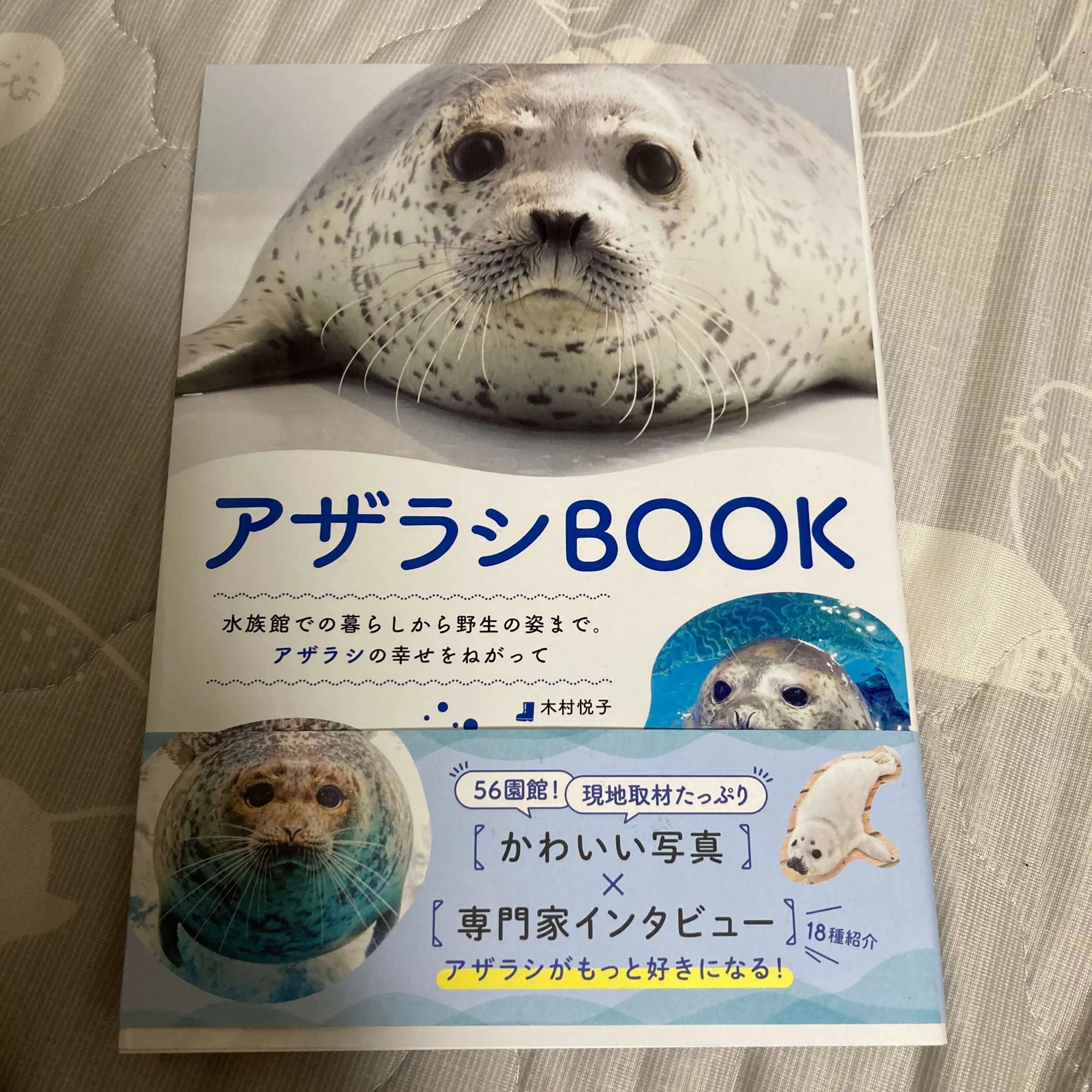 グラフィック社より「アザラシBOOK」発売 | あざらしニュース