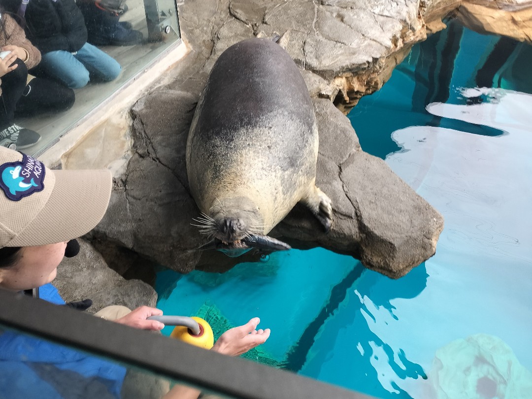 アザラシグラム - アザラーのためのアザ活SNS