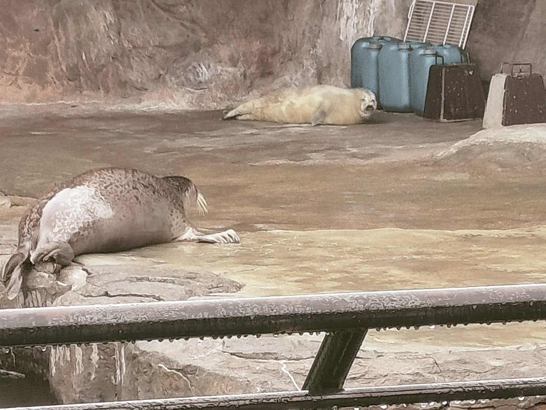 旭山動物園 | あざらしスポット - アザラシに会える日本全国の施設一覧