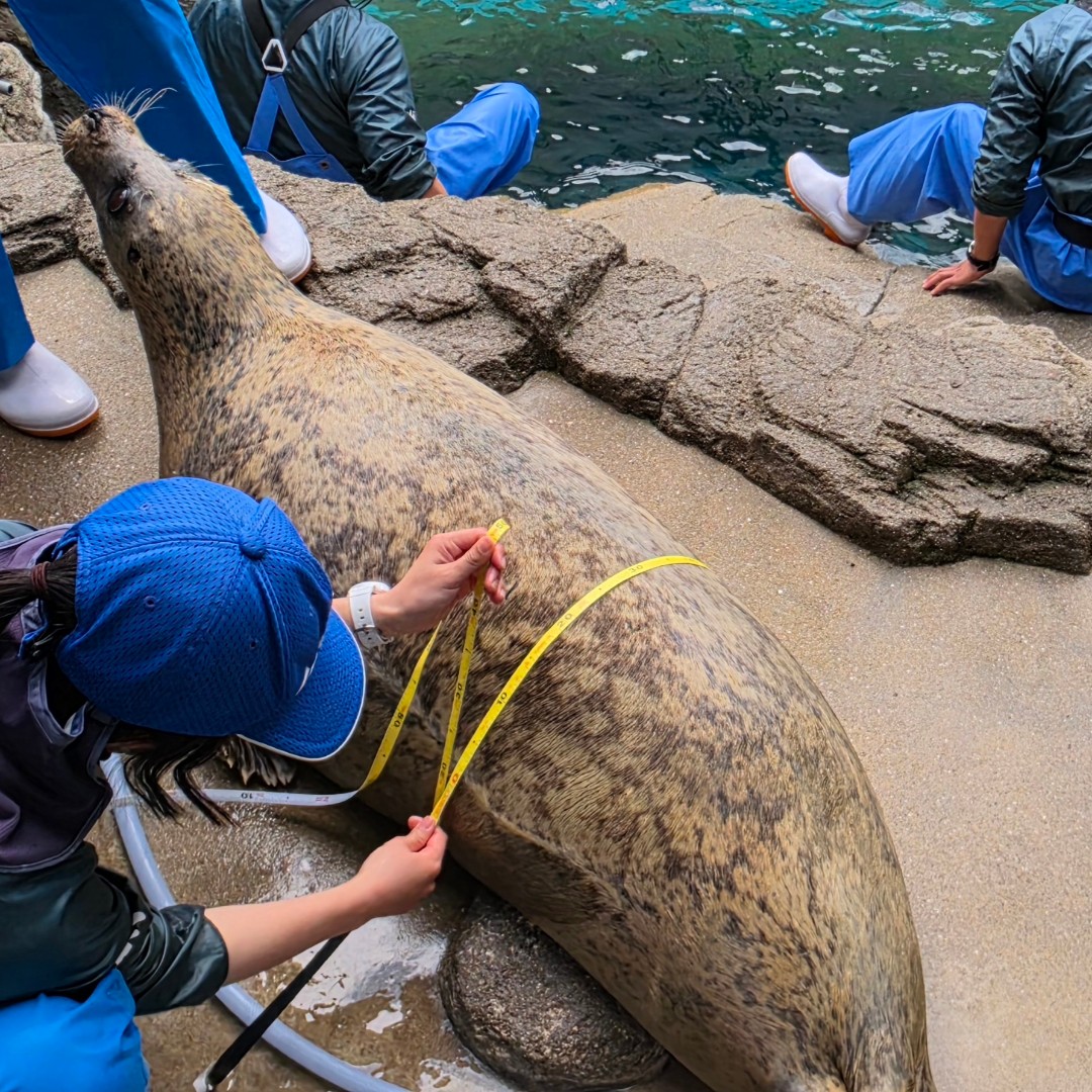 京都水族館 | あざらしスポット - アザラシに会える日本全国の施設一覧